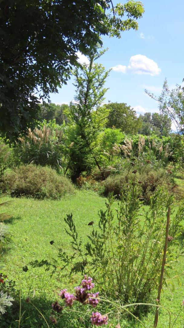 Ca Veja B&B Forlì Ngoại thất bức ảnh